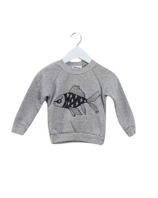 A Grey Crewneck Sweatshirts from Tobias & the Bear in size 6-12M for boy. (Front View)