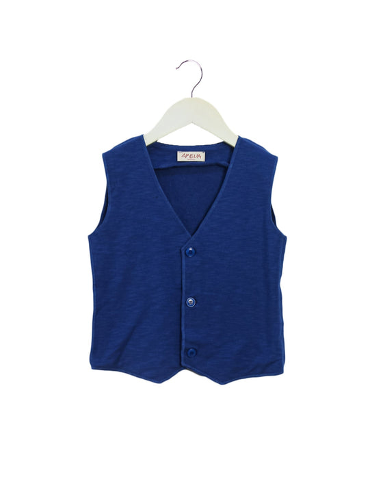 A Navy Outerwear Vests from Amelia in size 6T for boy. (Front View)