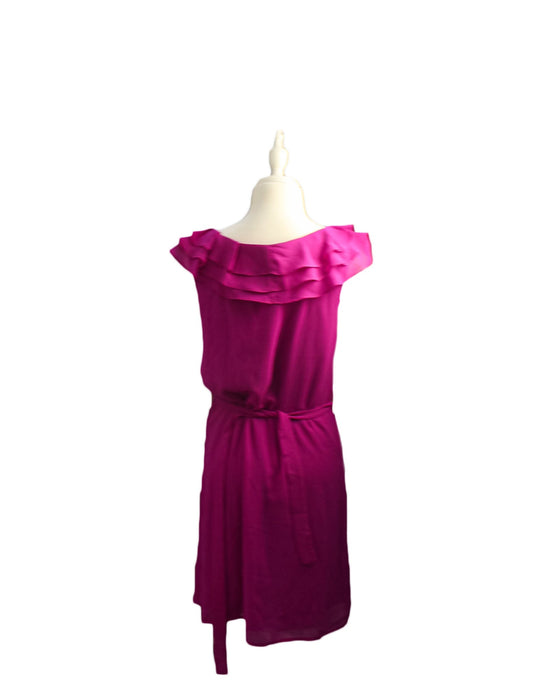 A Purple Short Sleeve Dresses from Maternal America in size S for maternity. (Back View)