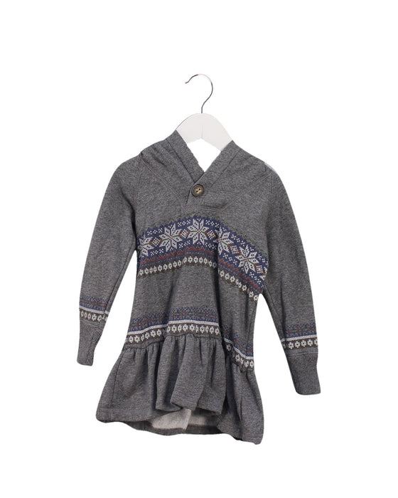 A Grey Sweatshirts from Ralph Lauren in size 2T for girl. (Front View)