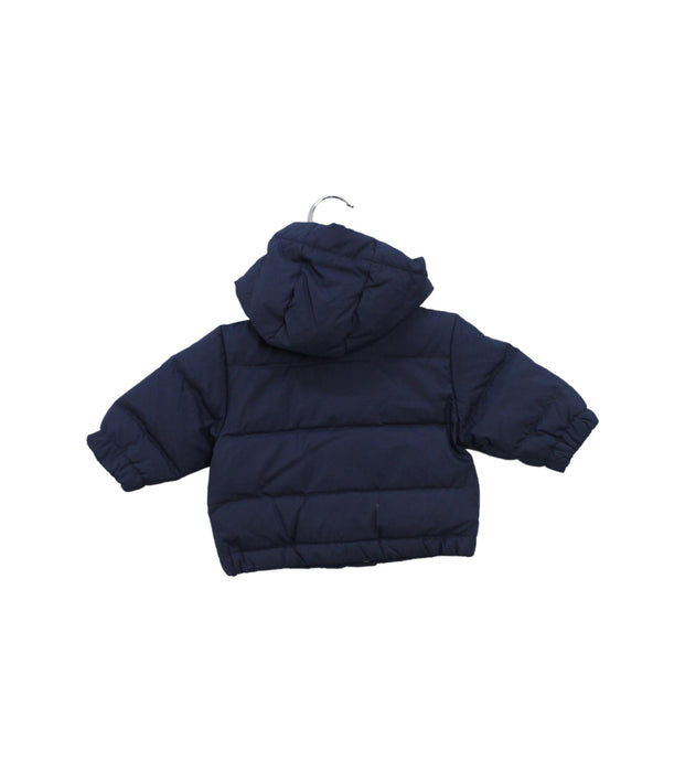 A Navy Puffer/Quilted Jackets from Ralph Lauren in size 0-3M for boy. (Back View)
