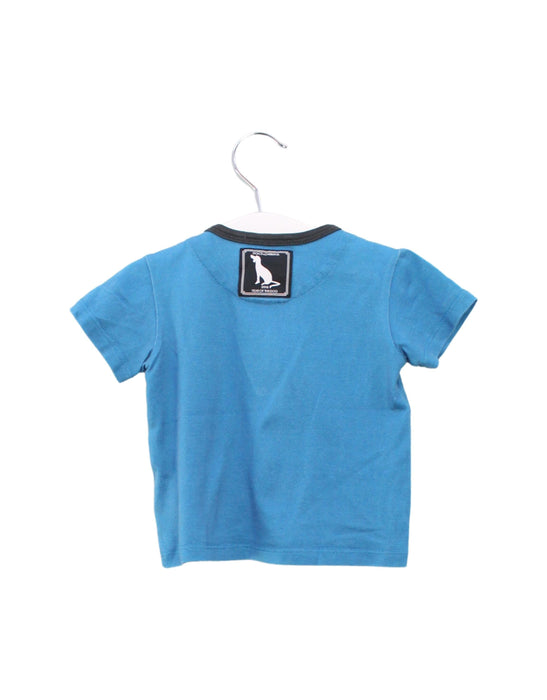A Blue Short Sleeve T Shirts from Dolce & Gabbana in size 6-12M for boy. (Back View)