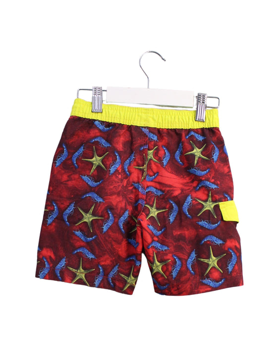 A Red Swim Shorts from Quiksilver in size 18-24M for boy. (Back View)