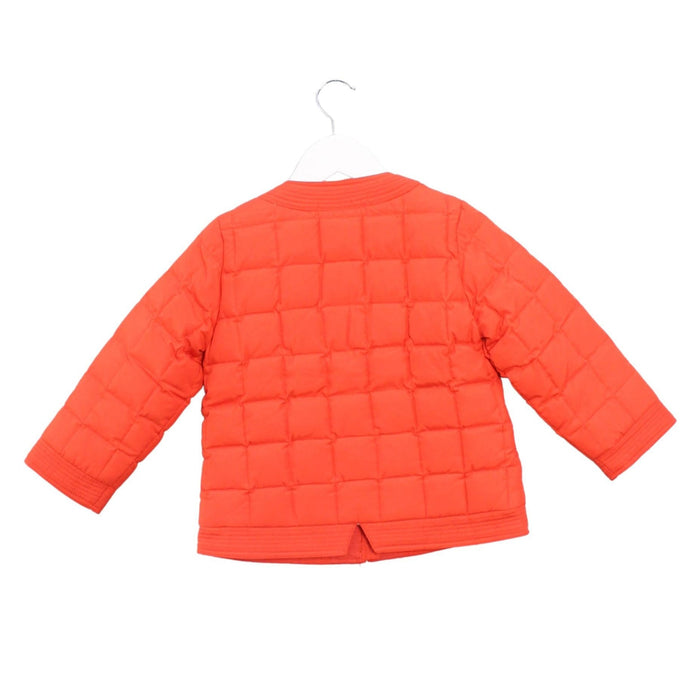 A Orange Puffer/Quilted Jackets from Crewcuts in size 4T for girl. (Back View)