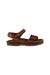 A Brown Sandals from PèPè in size 3T for girl. (Back View)