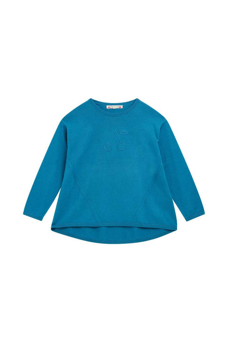 Blue Bonpoint Sweater 4T at Retykle