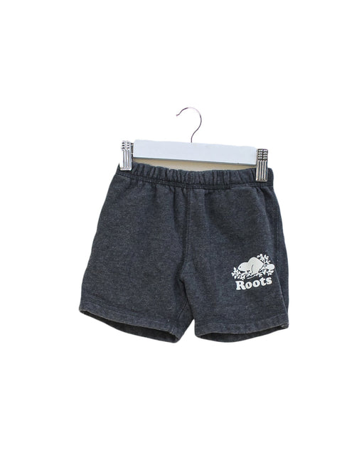 A Grey Shorts from Roots in size 4T for boy. (Front View)