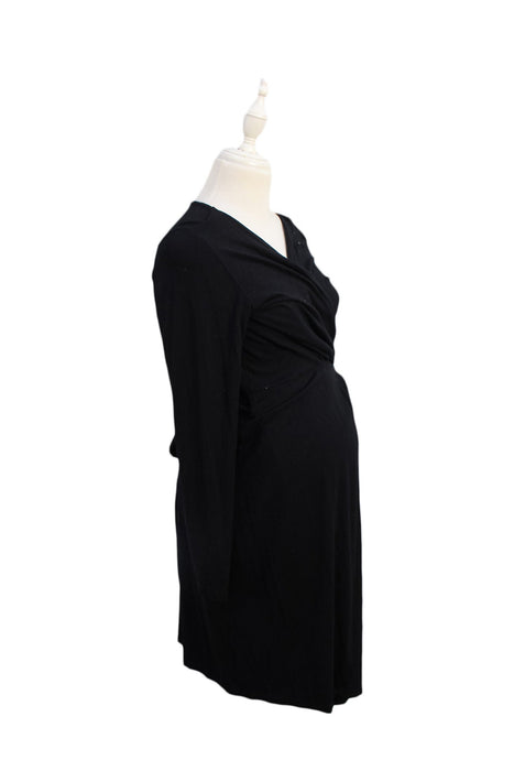 Seraphine Maternity Long Sleeve Dress L (US10)