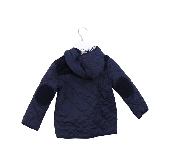 A Navy Puffer/Quilted Jackets from Jojo Maman Bébé in size 2T for boy. (Back View)