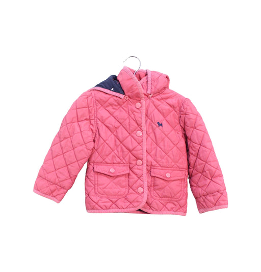 A Pink Puffer/Quilted Jackets from Blue Dog Baby in size 18-24M for girl. (Front View)