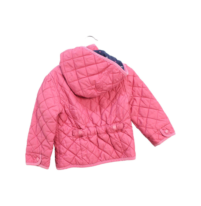 A Pink Puffer/Quilted Jackets from Blue Dog Baby in size 18-24M for girl. (Back View)