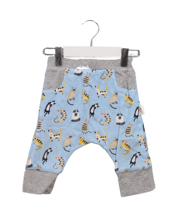 A Blue Sweatpants from Cotton Pigs in size 6-12M for boy. (Front View)