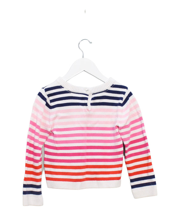 A Multicolour Knit Sweaters from Tommy Hilfiger in size 4T for girl. (Back View)
