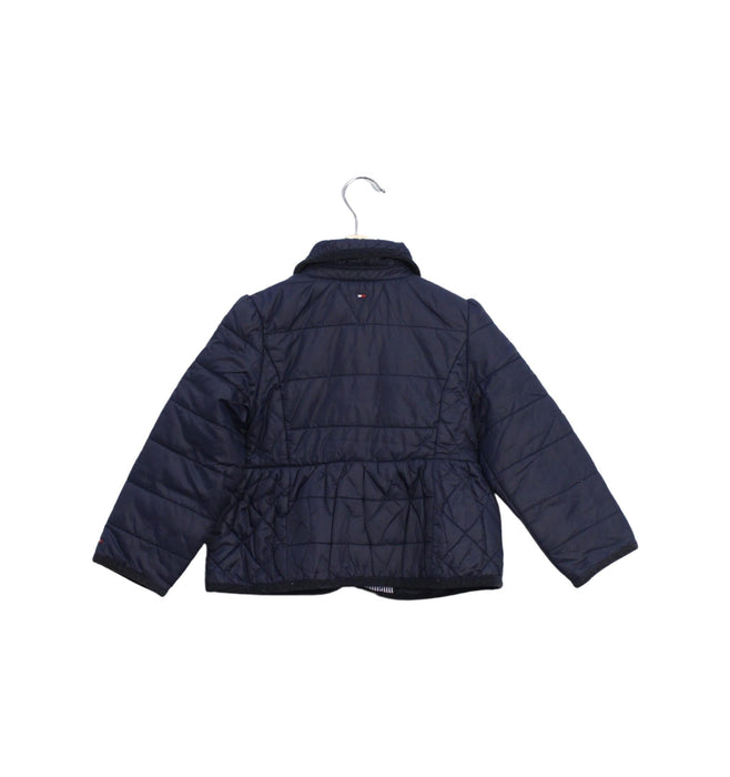 A Navy Lightweight Jackets from Tommy Hilfiger in size 2T for girl. (Back View)