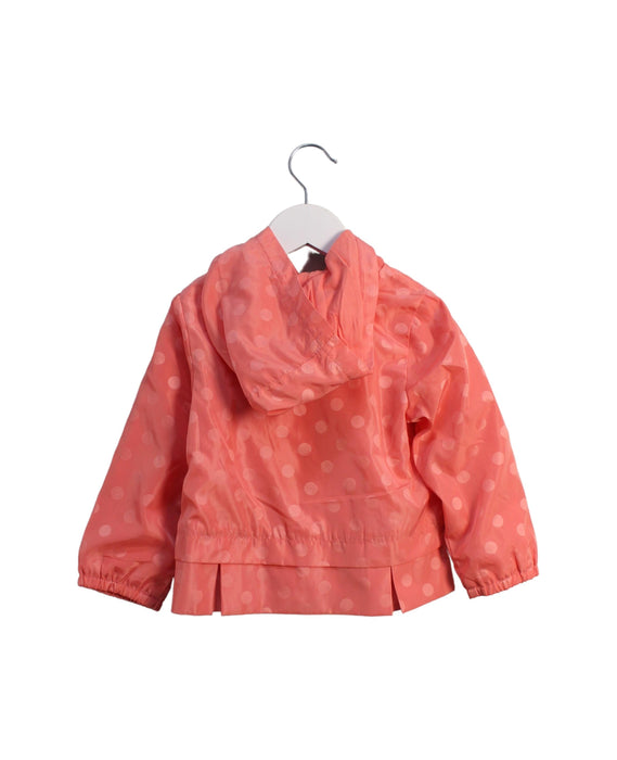 A Pink Lightweight Jackets from Momonittu in size 2T for girl. (Back View)