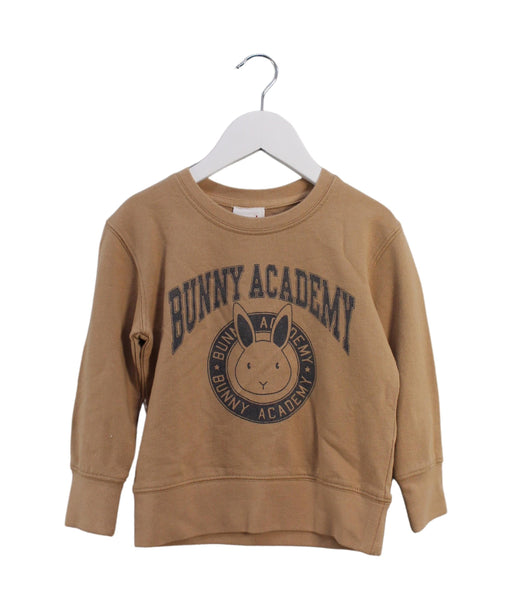 A Brown Crewneck Sweatshirts from Seed in size 3T for boy. (Front View)