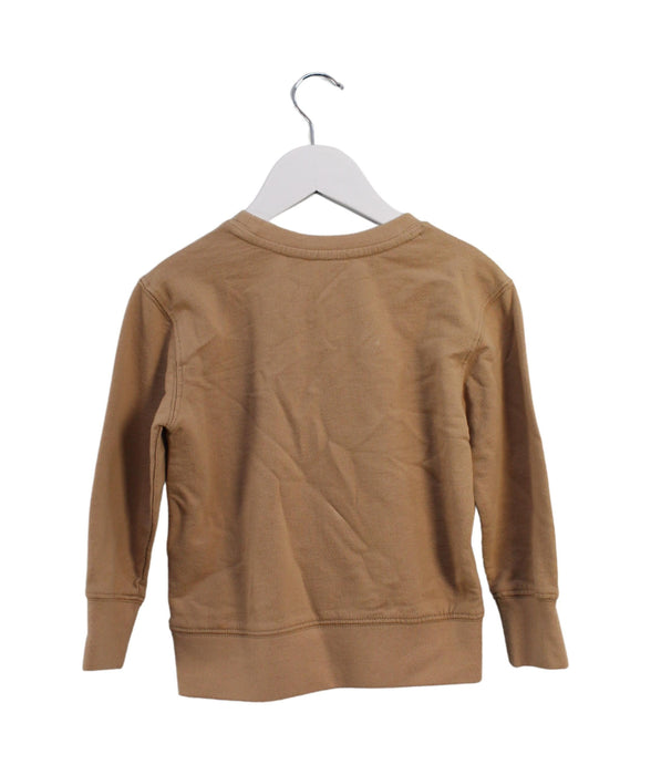 A Brown Crewneck Sweatshirts from Seed in size 3T for boy. (Back View)