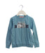 A Teal Long Sleeve Tops from Dandy Star in size 3T for boy. (Front View)