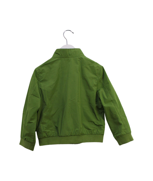 A Green Lightweight Jackets from Burberry in size 4T for boy. (Back View)