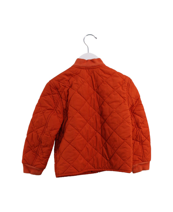A Orange Puffer/Quilted Jackets from Polo Ralph Lauren in size 3T for girl. (Back View)