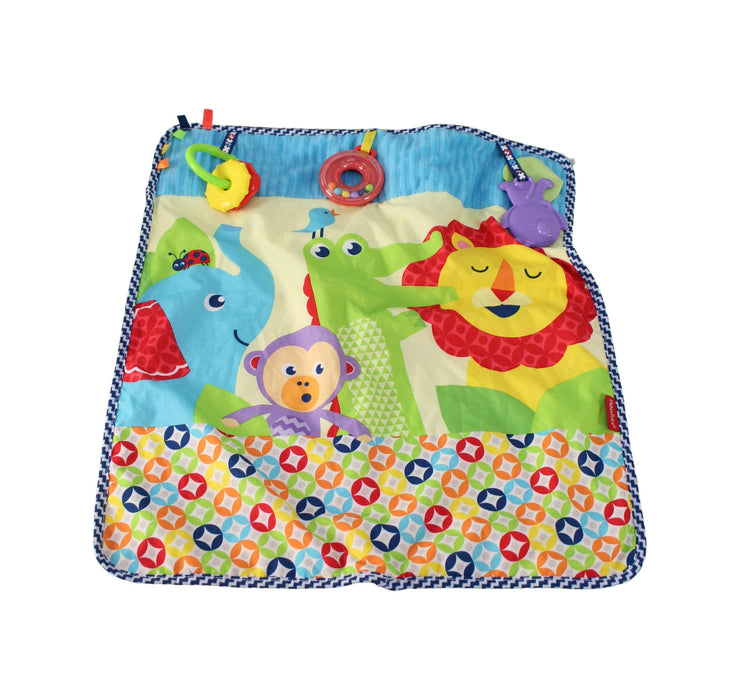 Fisher Price On-the-Go Activity Throw O/S (28.0 x 26.0 x 6.0 cm)