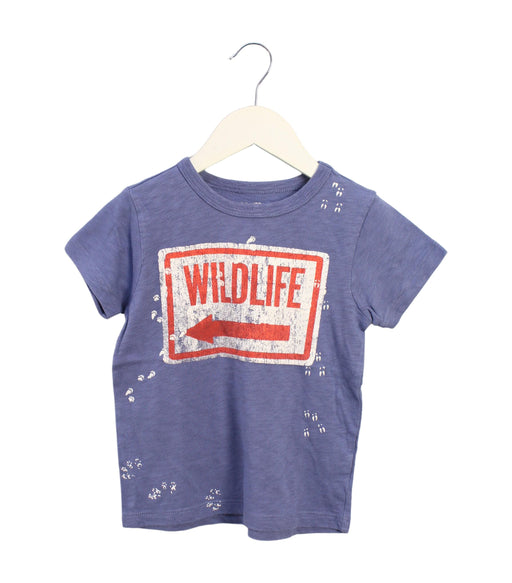 A Blue Short Sleeve T Shirts from Crewcuts in size 3T for boy. (Front View)