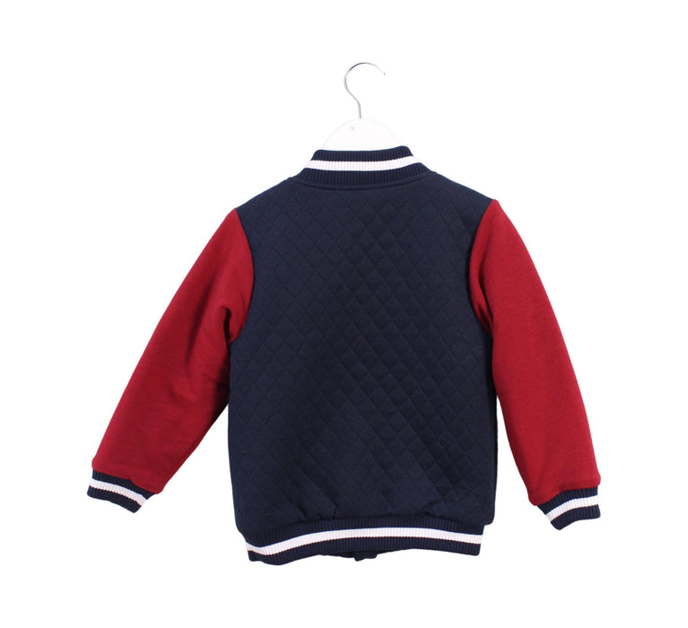 A Red Lightweight Jackets from Chickeeduck in size 2T for boy. (Back View)
