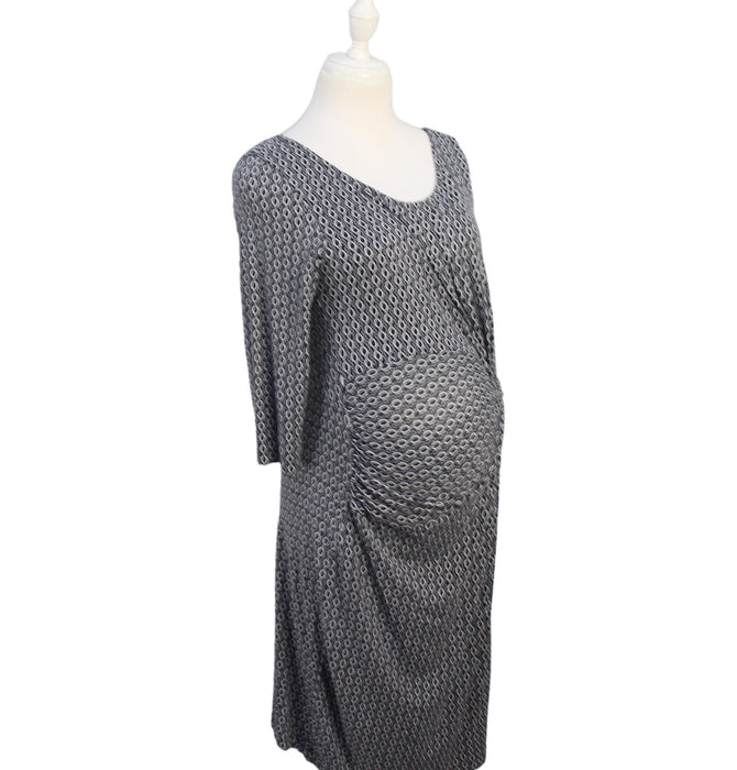 Seraphine Maternity Long Sleeve Dress XS/S (US4)