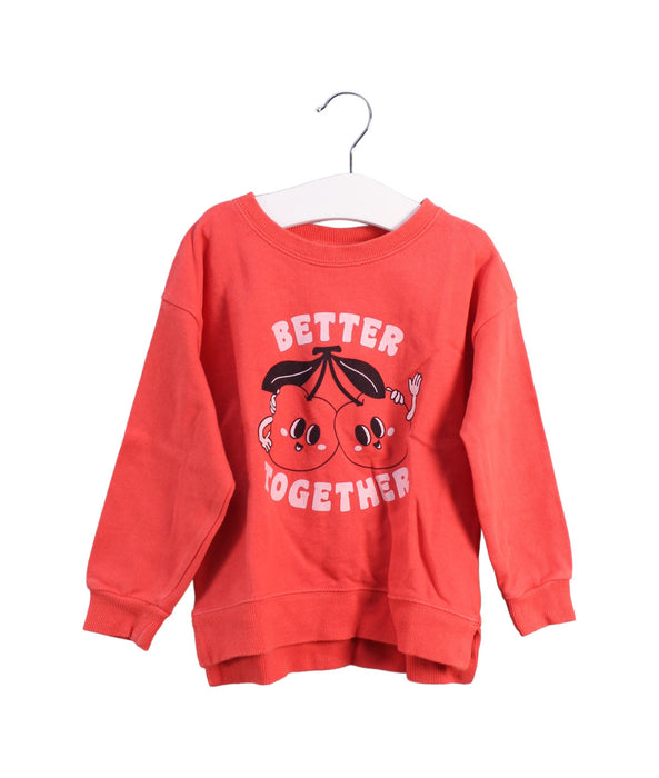 Seed Sweatshirt 3T