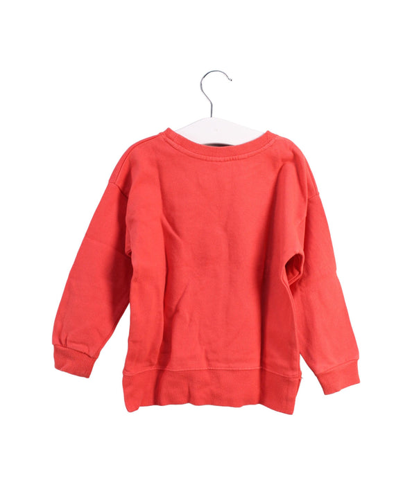 Seed Sweatshirt 3T