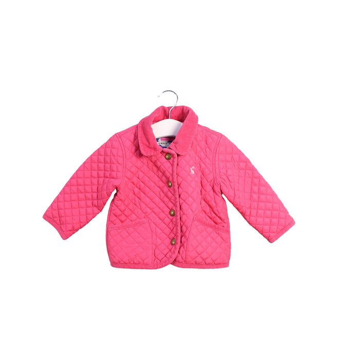 Joules Quilted Jacket 6-12M
