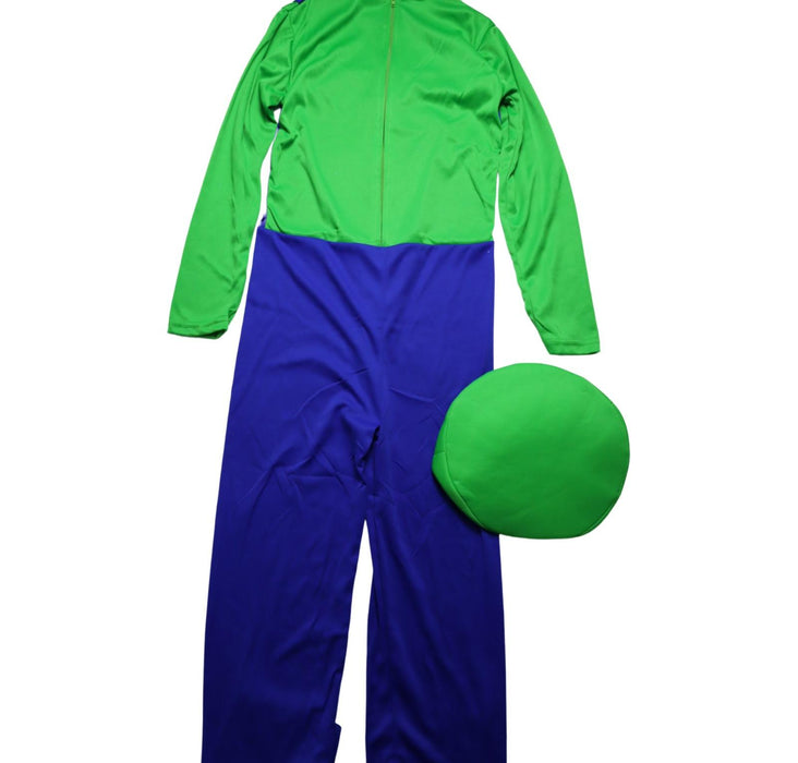 Super Mario Luigi Costume 14Y