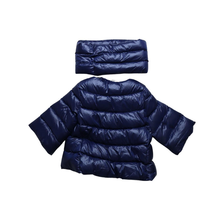 A Navy Puffer/Quilted Jackets from Nicholas & Bears in size 2T for girl. (Back View)