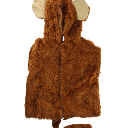 A Brown Halloween Costumes from Retykle in size O/S for neutral. (Front View)