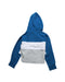 A Blue Hooded Sweatshirts from Air Jordan in size 4T for boy. (Back View)