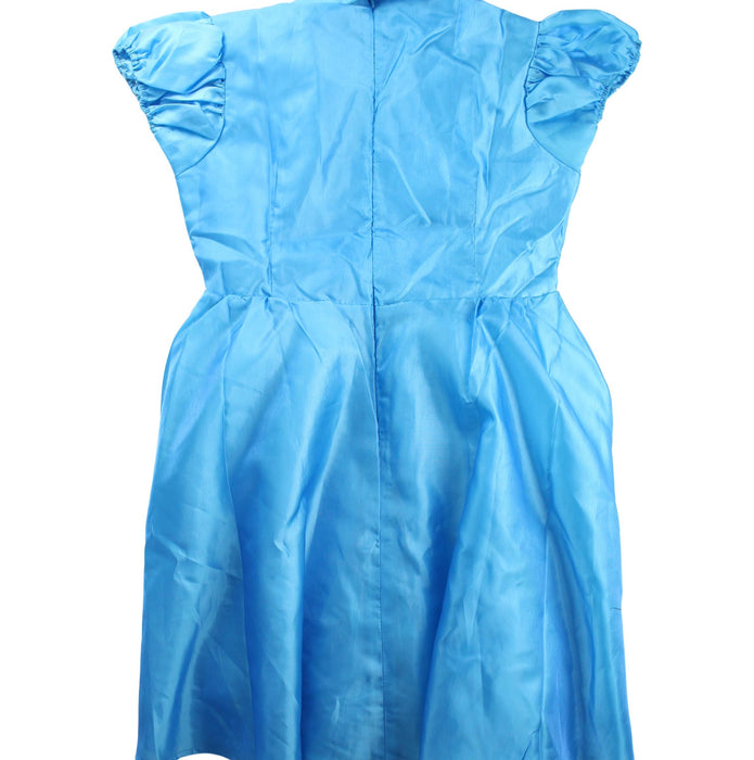 A Blue Halloween Costumes from Retykle in size 10Y for girl. (Back View)