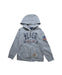 A Grey Zippered Sweatshirts from Polo Ralph Lauren in size 5T for boy. (Front View)