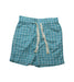 A Teal Shorts from Little Green Radicals in size 6T for girl. (Front View)