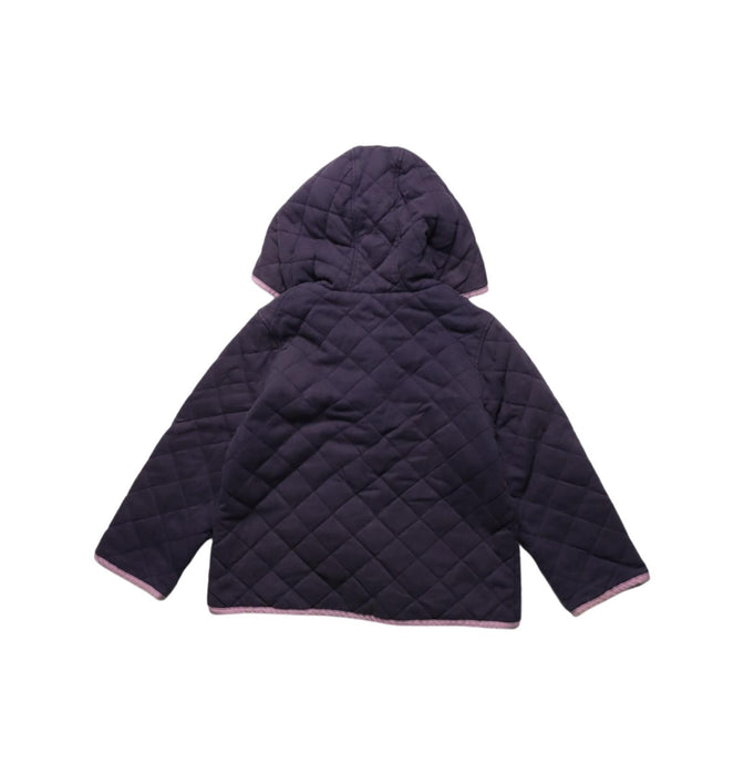 A Multicolour Puffer/Quilted Jackets from Boden in size 2T for girl. (Back View)