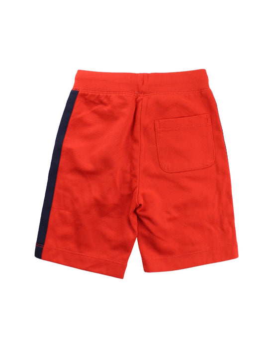 A Red Shorts from Crewcuts in size 4T for boy. (Back View)