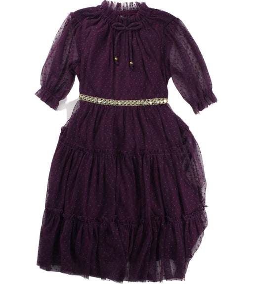 A Purple Long Sleeve Dresses from Velveteen in size 3T for girl. (Front View)