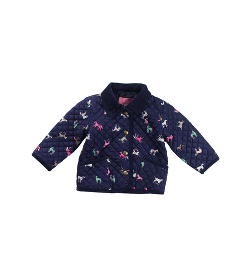 A Blue Puffer/Quilted Jackets from Joules in size 6-12M for boy. (Front View)