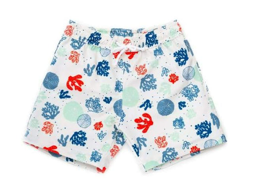 A Multicolour Swim Shorts from Folpetto in size 3T for boy. (Front View)