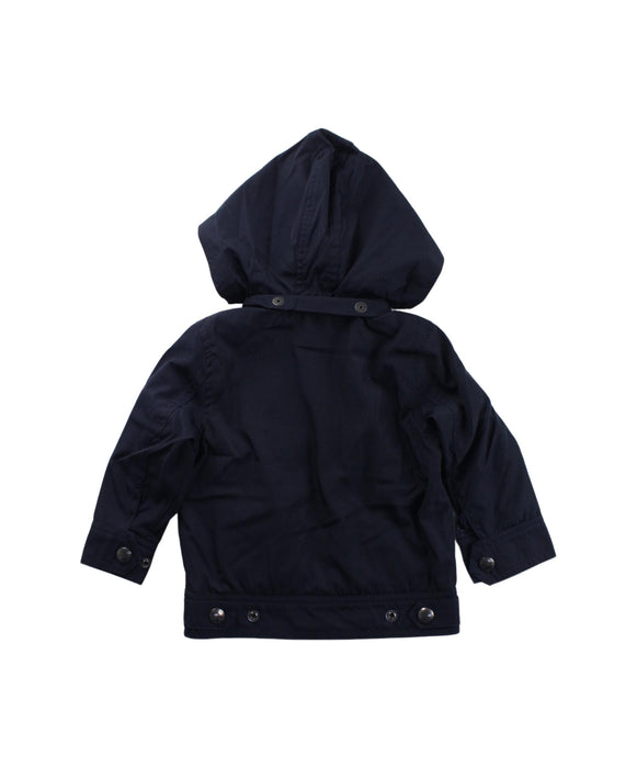 A Blue Lightweight Jackets from Ralph Lauren in size 6-12M for boy. (Back View)