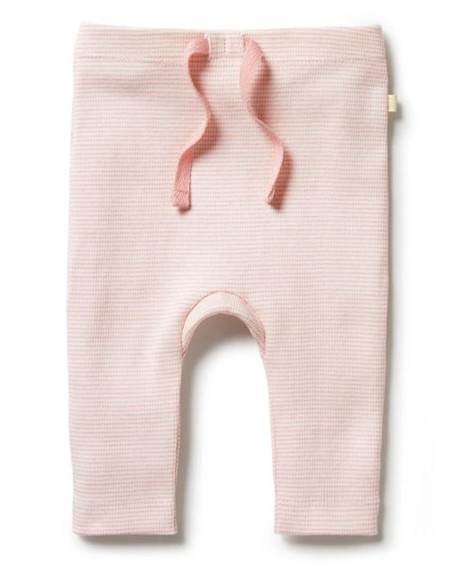 A Pink Leggings from Wilson & Frenchy in size 0-3M for girl. (Front View)