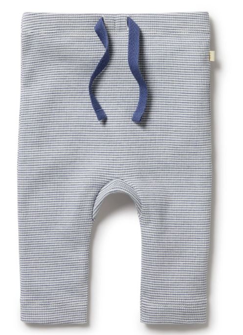 A Blue Leggings from Wilson & Frenchy in size Newborn for neutral. (Front View)