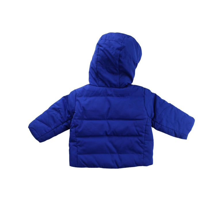 A Blue Puffer/Quilted Jackets from Polo Ralph Lauren in size 6-12M for boy. (Back View)