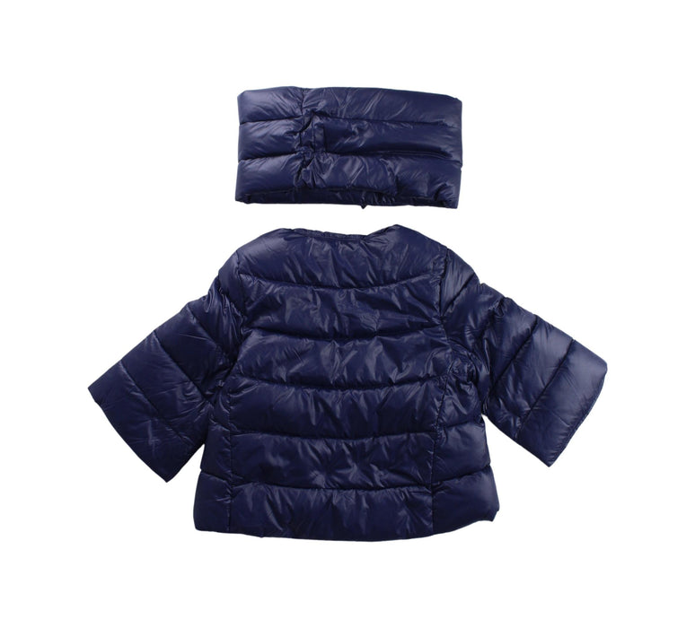 A Blue Puffer/Quilted Jackets from Nicholas & Bears in size 2T for boy. (Back View)