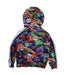 A Multicolour Lightweight Jackets from Polo Ralph Lauren in size 4T for boy. (Back View)