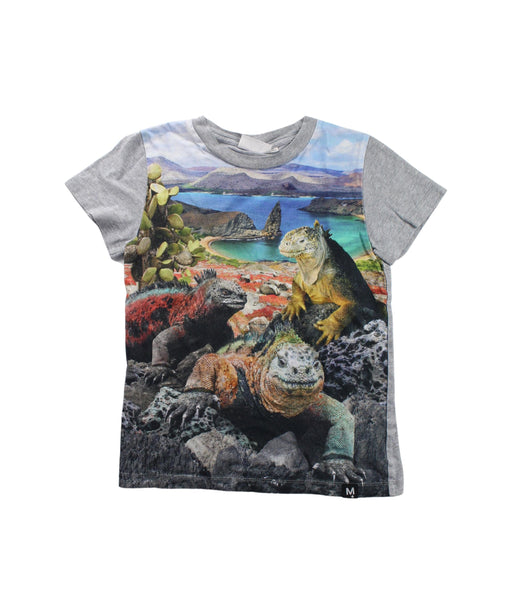 A Grey Short Sleeve T Shirts from Molo in size 7Y for neutral. (Front View)